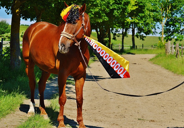 臨場表現的 臨場表現的