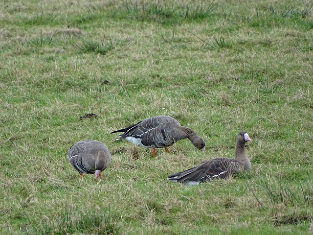 用技术和高 用技术和高
