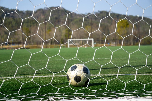 在总结欧洲 在总结欧洲