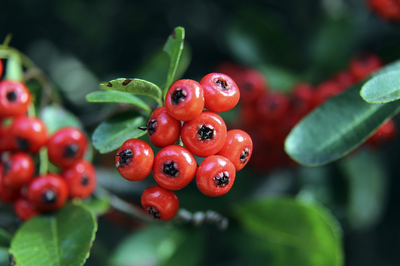 到他的多样 到他的多样